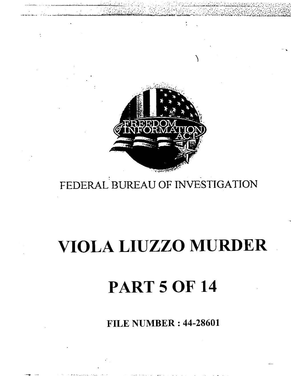 Viola Liuzzo Part 5 of 17