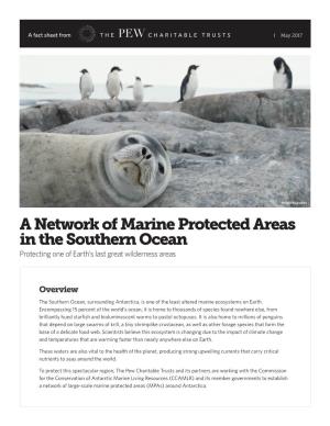 A Network of Marine Protected Areas in the Southern Ocean Protecting One of Earth’S Last Great Wilderness Areas