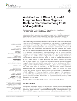 Architecture of Class 1, 2, and 3 Integrons from Gram Negative Bacteria Recovered Among Fruits and Vegetables