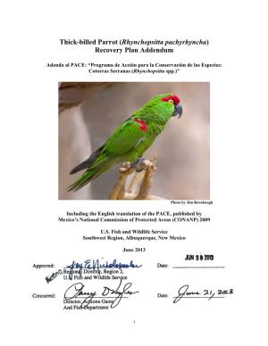 Thick-Billed Parrot (Rhynchopsitta Pachyrhyncha) Recovery Plan Addendum
