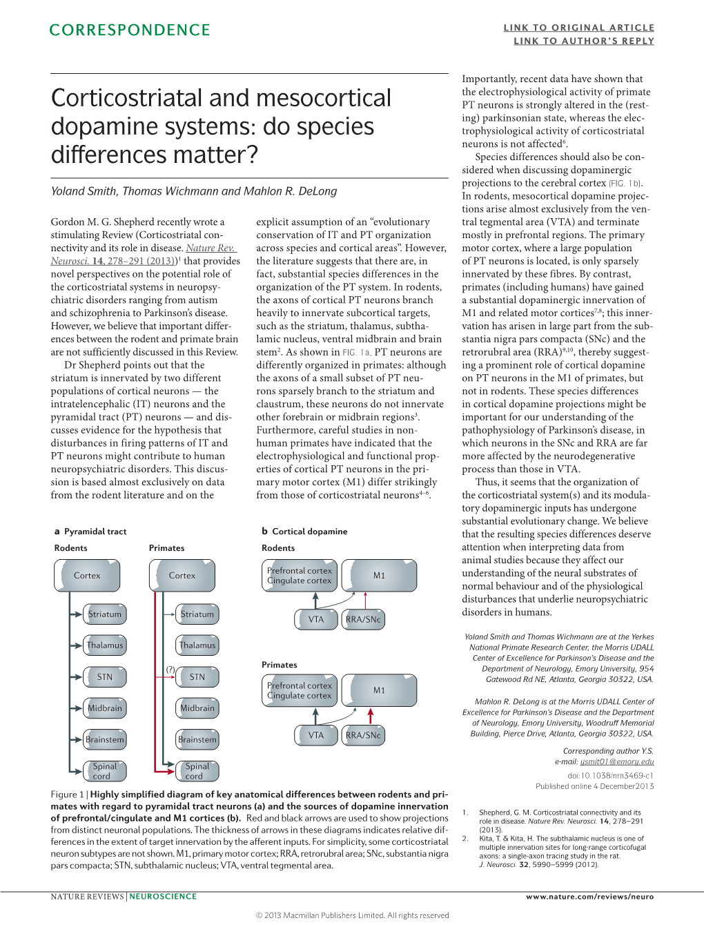 Corticostriatal and Mesocortical Dopamine Systems: Do Species