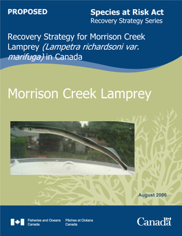 Recovery Strategy for Morrison Creek Lamprey (Lampetra Richardsoni Var