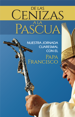 Papa Francisco Introducción