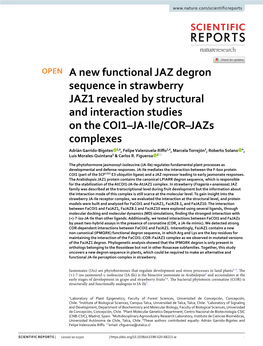 A New Functional JAZ Degron Sequence in Strawberry JAZ1