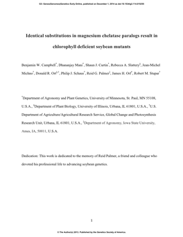 Identical Substitutions in Magnesium Chelatase Paralogs Result In