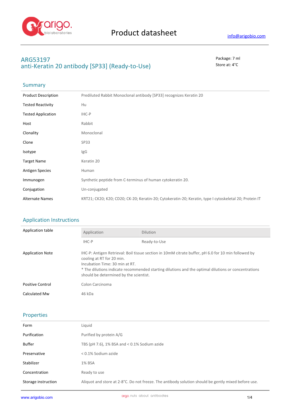 Anti-Keratin 20 Antibody [SP33] (Ready-To-Use) (ARG53197)