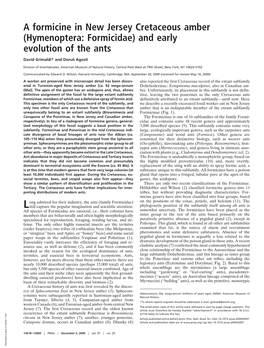 A Formicine in New Jersey Cretaceous Amber (Hymenoptera: Formicidae) and Early Evolution of the Ants