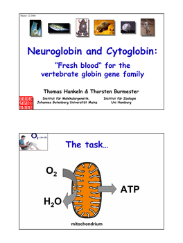 Neuroglobin and Cytoglobin: O ATP