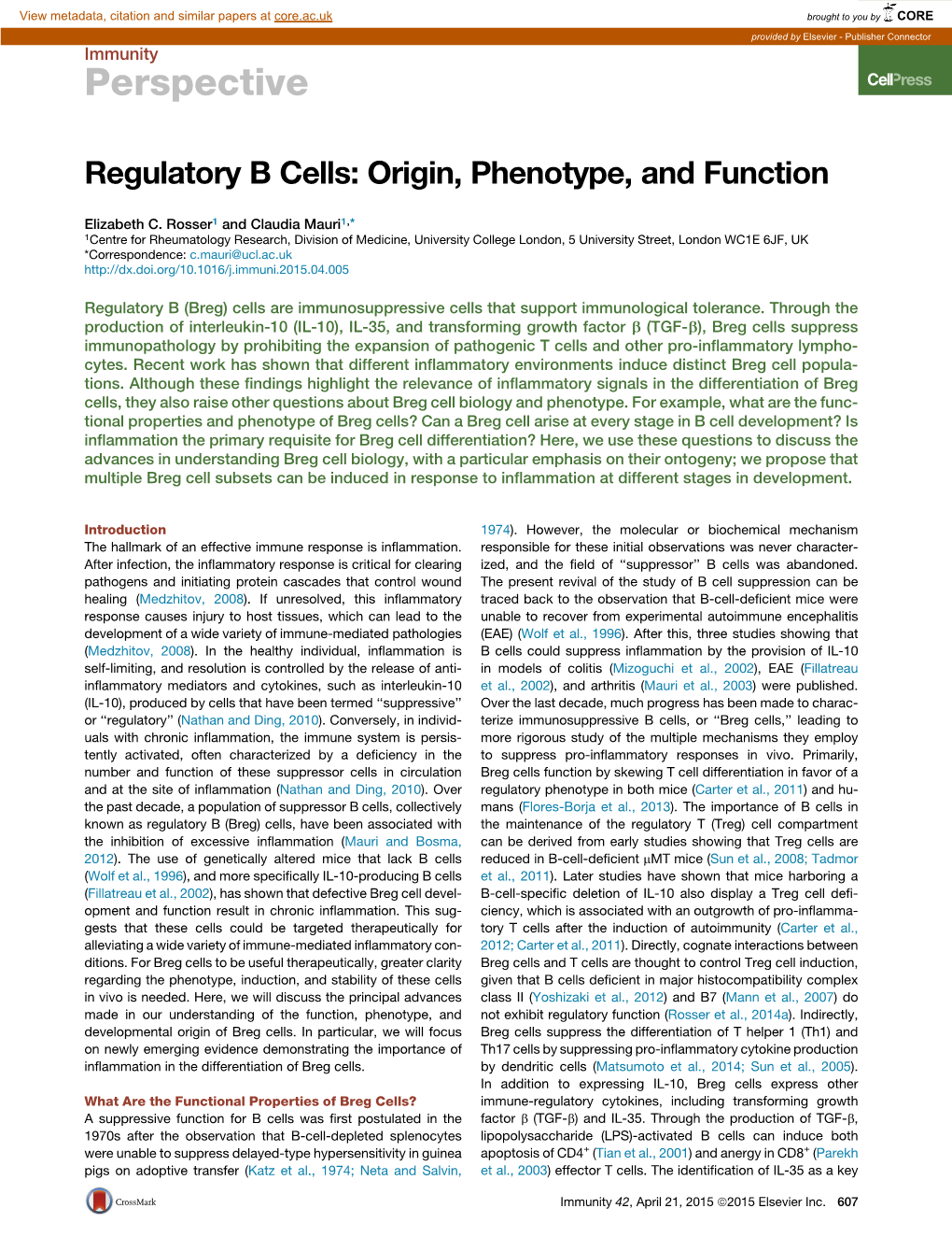 Regulatory B Cells: Origin, Phenotype, and Function