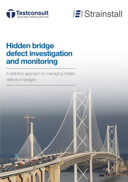 Hidden Bridge Defect Investigation and Monitoring