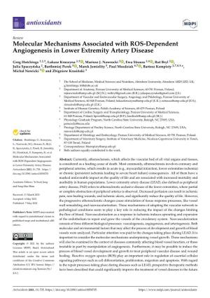 Molecular Mechanisms Associated with ROS-Dependent Angiogenesis in Lower Extremity Artery Disease
