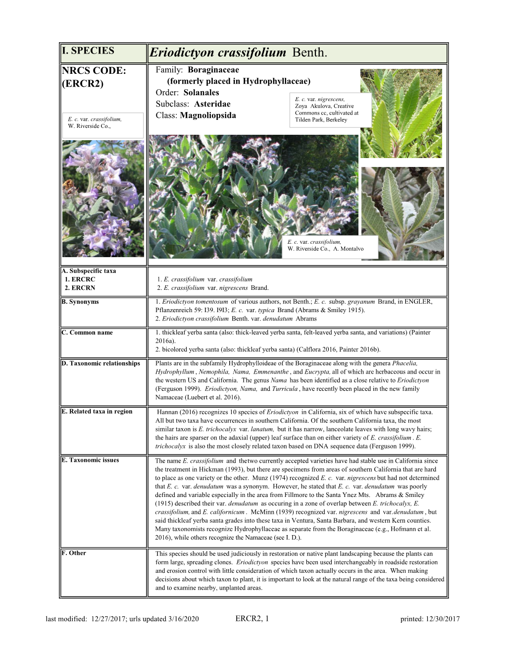 Eriodictyon Crassifolium Benth. NRCS CODE: Family: Boraginaceae (ERCR2) (Formerly Placed in Hydrophyllaceae) Order: Solanales E