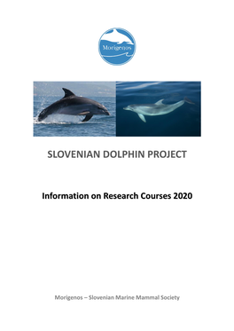 Slovenian Dolphin Project