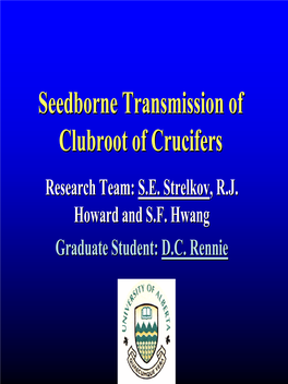 Seedborne Transmission of Clubroot