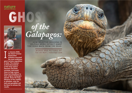 Of the Galapagos: HOW SELECTIVE BREEDING IS HELPING BRING EXTINCT GIANT TORTOISES BACK from the DEAD