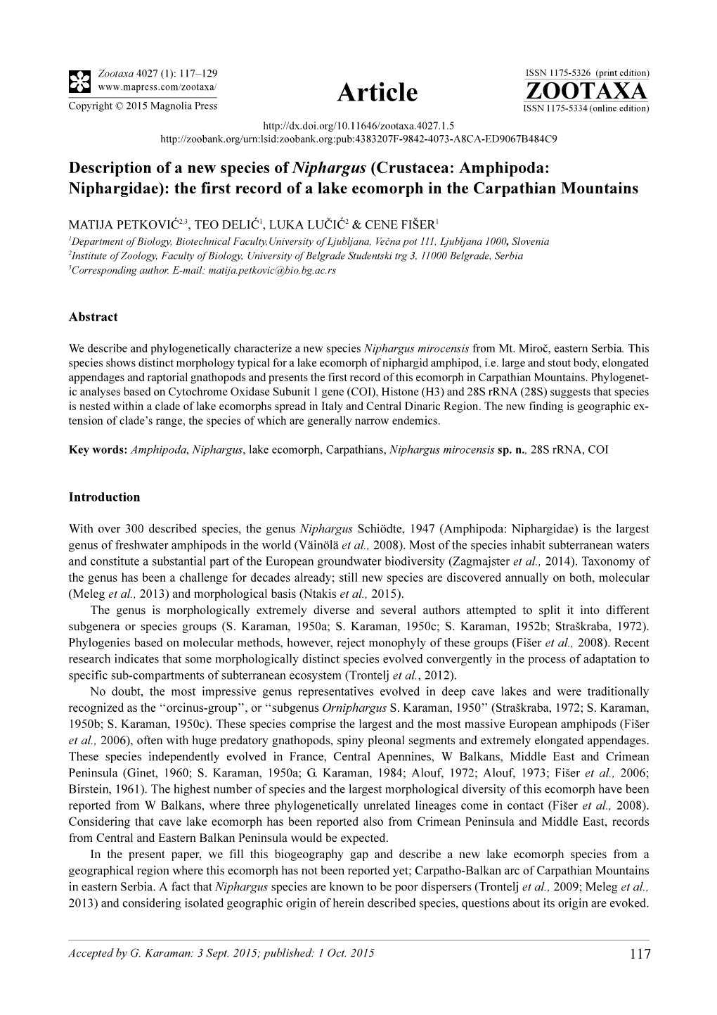 Description of a New Species of Niphargus (Crustacea: Amphipoda: Niphargidae): the First Record of a Lake Ecomorph in the Carpathian Mountains