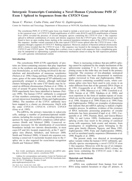 Intergenic Transcripts Containing a Novel Human Cytochrome P450 2C Exon 1 Spliced to Sequences from the CYP2C9 Gene