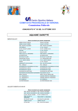 Centro Sportivo Italiano COMITATO PROVINCIALE DI VERONA Commissione Pallavolo