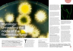 Mycology: Unravelling the Riddle of the Filamentous Fungi