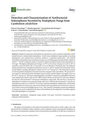 Detection and Characterization of Antibacterial Siderophores Secreted by Endophytic Fungi from Cymbidium Aloifolium