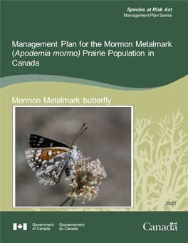 Management Plan for the Mormon Metalmark (Apodemia Mormo) Prairie Population in Canada