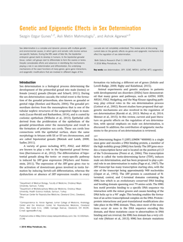 Genetic and Epigenetic Effects in Sex Determination Sezgin Ozgur Gunes1,2, Asli Metin Mahmutoglu1, and Ashok Agarwal*3
