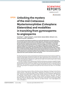Unlocking the Mystery of the Mid-Cretaceous Mysteriomorphidae