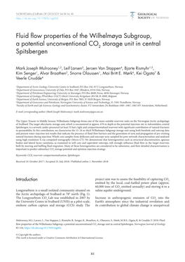 Fluid Flow Properties of the Wilhelmøya Subgroup, a Potential Unconventional CO2 Storage Unit in Central Spitsbergen
