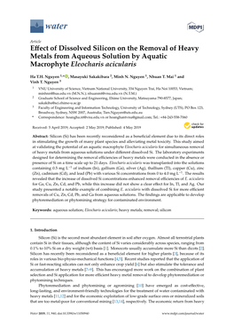 Effect of Dissolved Silicon on the Removal of Heavy Metals