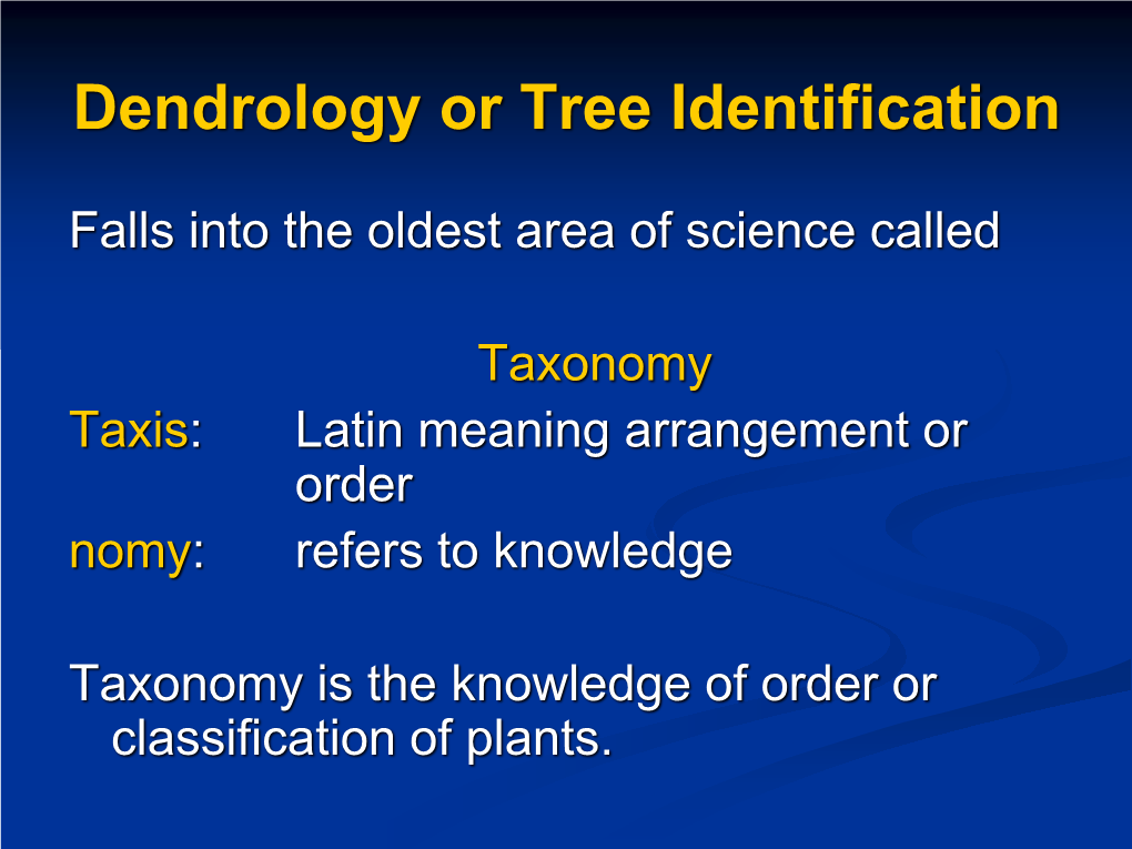 Dendrology Or Tree Identification
