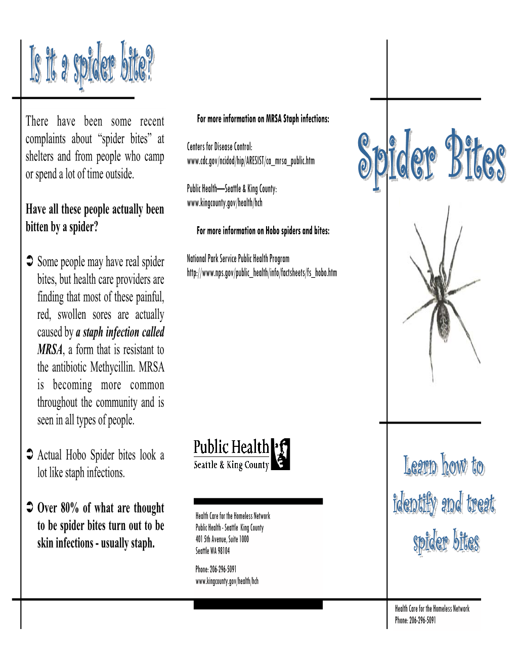 Spider Bites Flyer 2010.Pub