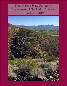 Newsletter 2019 (PDF)