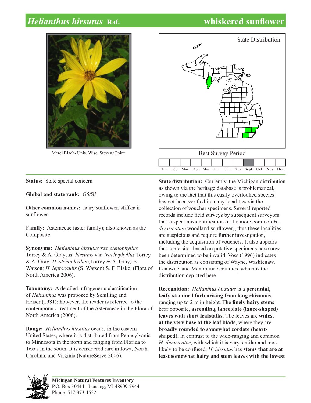 Helianthus Hirsutus Raf