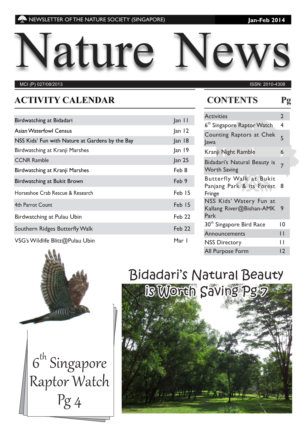 6Th Singapore Raptor Watch Pg 4