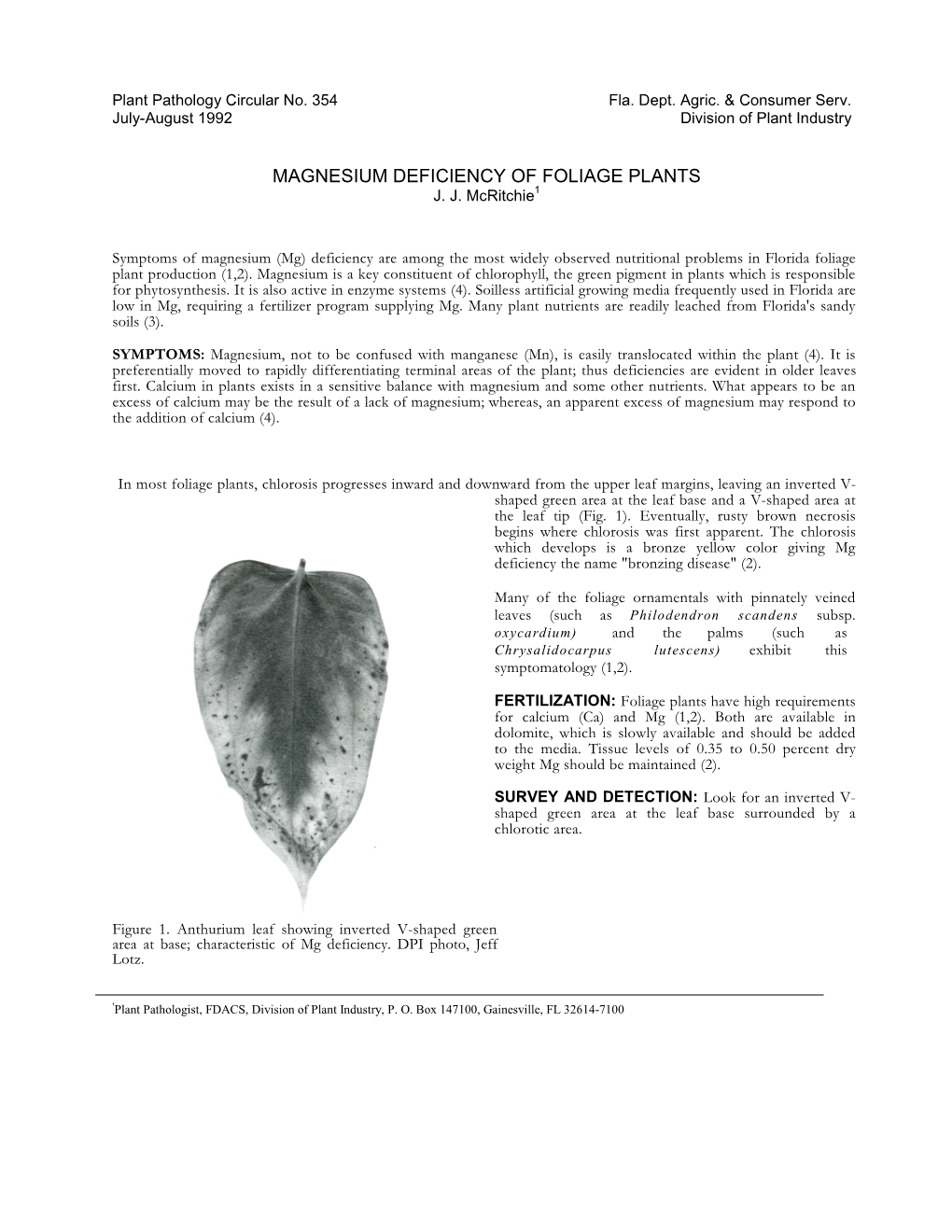 Magnesium Deficiency of Foliage Plants J