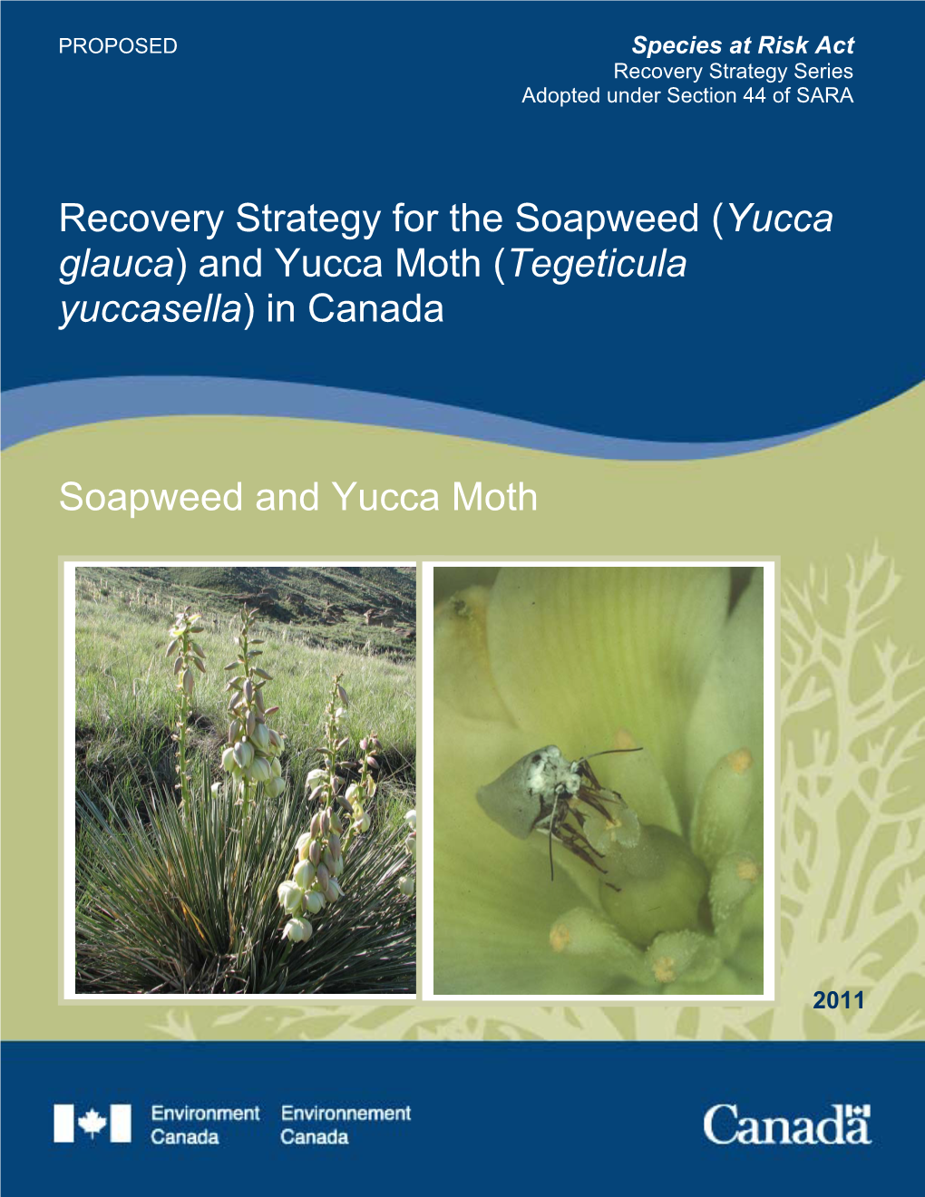 Soapweed (Yucca Glauca) and Yucca Moth (Tegeticula Yuccasella) in Canada