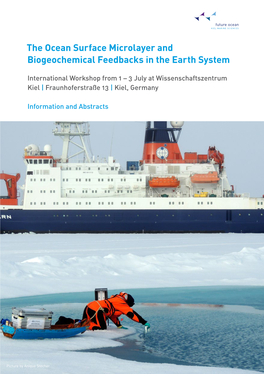 The Ocean Surface Microlayer and Biogeochemical Feedbacks in the Earth System