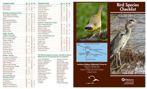 Bird Species Checklist