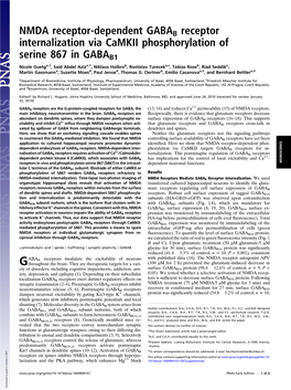 NMDA Receptor-Dependent GABAB Receptor Internalization Via Camkii Phosphorylation of Serine 867 in GABAB1