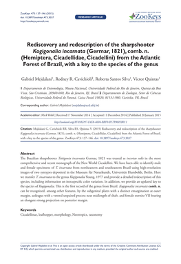 Rediscovery and Redescription of the Sharpshooter Kogigonalia Incarnata (Germar, 1821), Comb