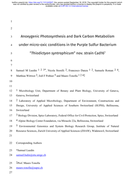 Anoxygenic Photosynthesis and Dark Carbon Metabolism Under