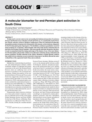 A Molecular Biomarker for End-Permian Plant Extinction In