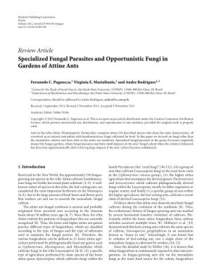 Review Article Specialized Fungal Parasites and Opportunistic Fungi in Gardens of Attine Ants