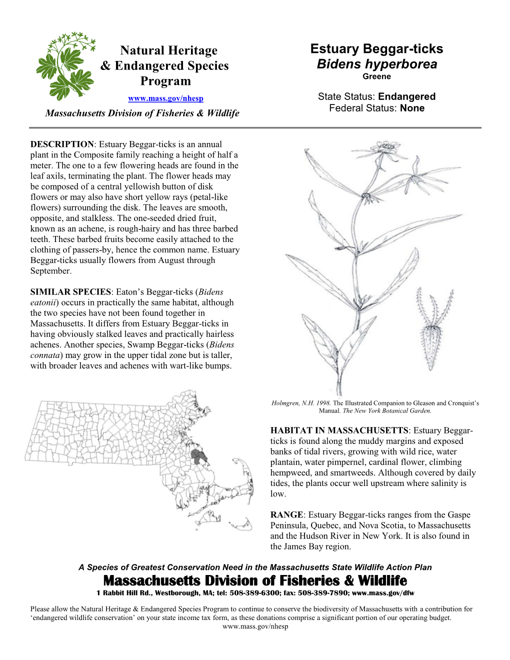 Estuary Beggar-Ticks Bidens Hyperborea