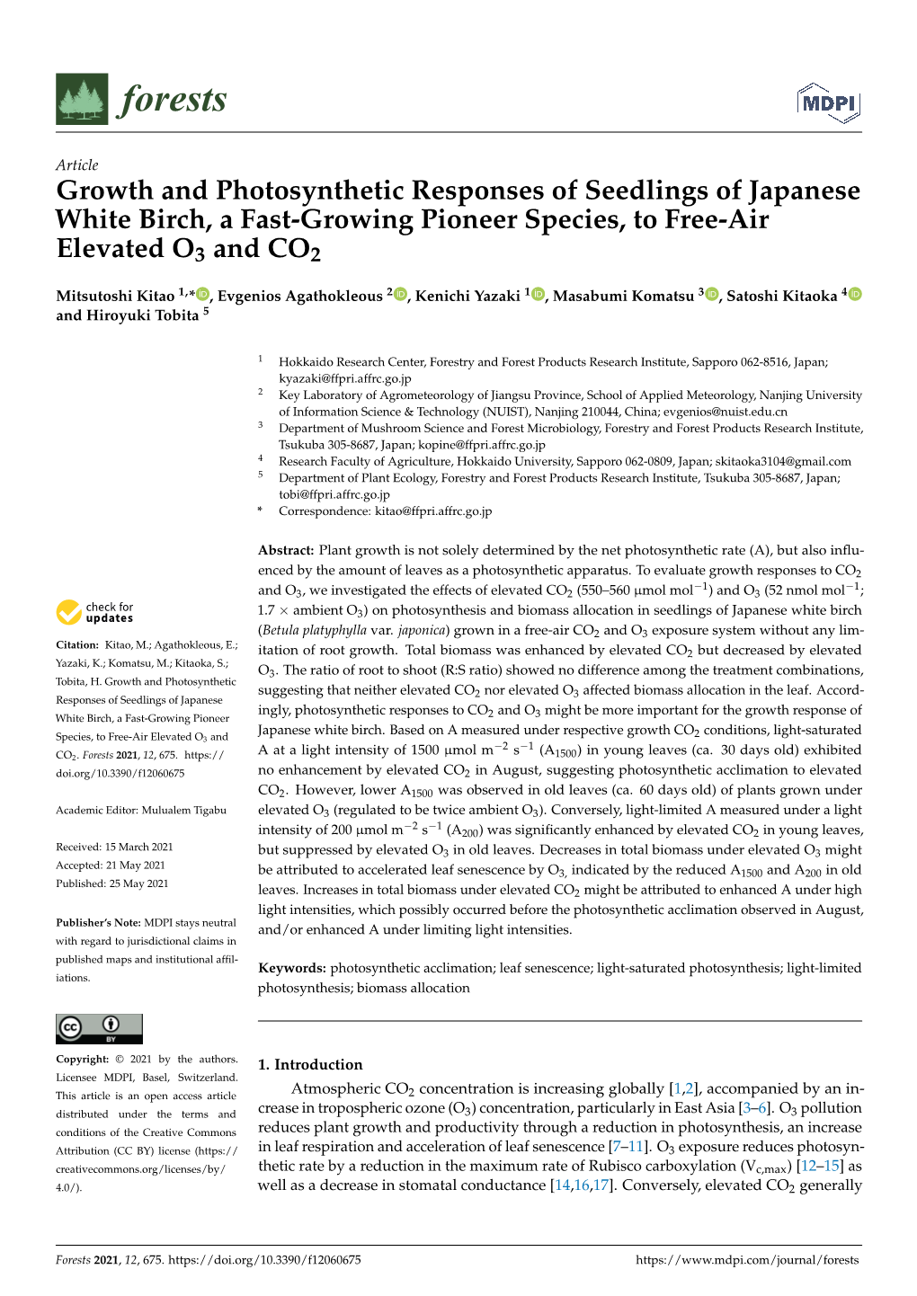 Growth and Photosynthetic Responses of Seedlings of Japanese White Birch, a Fast-Growing Pioneer Species, to Free-Air Elevated O3 and CO2