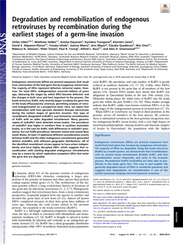 Degradation and Remobilization of Endogenous Retroviruses by Recombination During the Earliest Stages of a Germ-Line Invasion