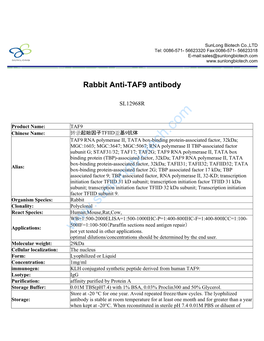 Rabbit Anti-TAF9 Antibody-SL12968R