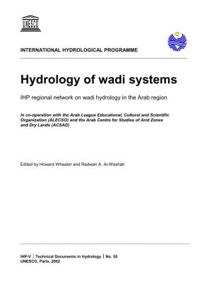 Hydrology of Wadi Systems