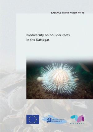Biodiversity on Boulder Reefs in the Kattegat