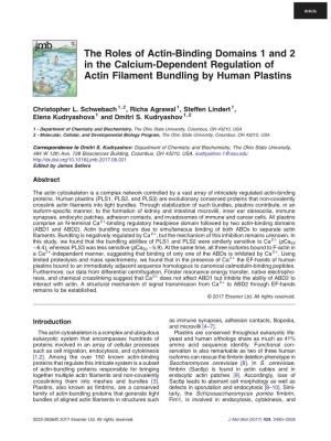 The Roles of Actin-Binding Domains 1 and 2 in the Calcium-Dependent Regulation of Actin Filament Bundling by Human Plastins